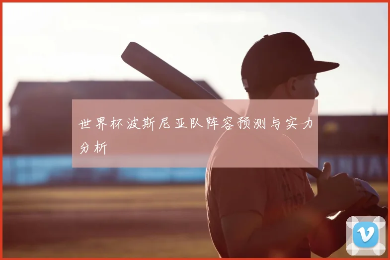 世界杯波斯尼亚队阵容预测与实力分析